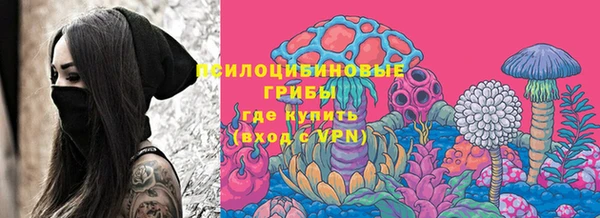 хмурый Алексеевка