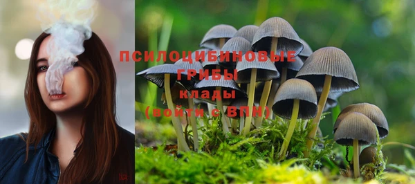 хмурый Алексеевка